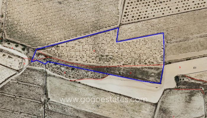 Te koop - Perceel - Land - Pinoso - Pinoso Centro