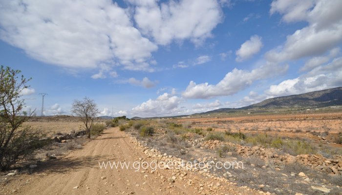Te koop - Perceel - Land - Pinoso - Pinoso Centro