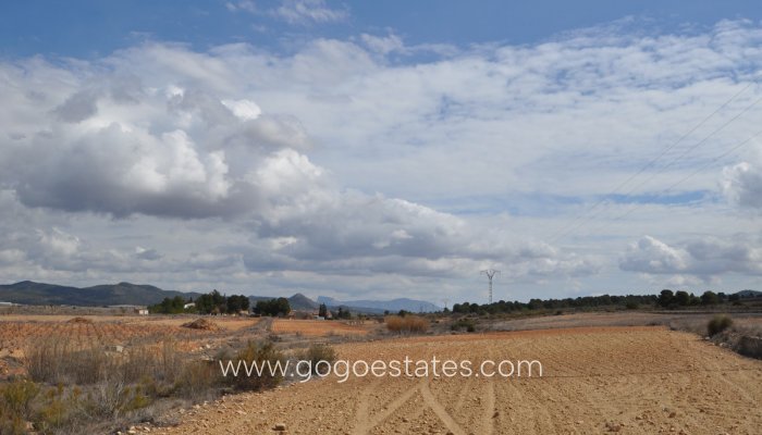 Te koop - Perceel - Land - Pinoso - Pinoso Centro