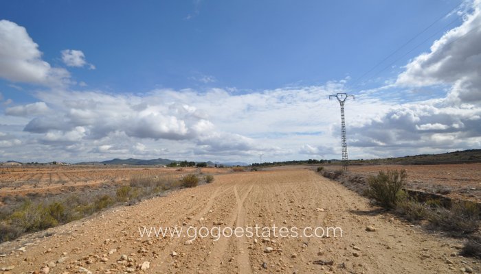 Te koop - Perceel - Land - Pinoso - Pinoso Centro