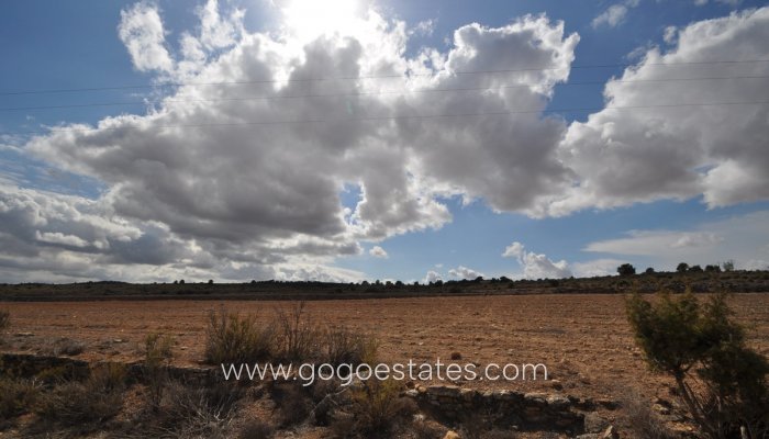 Te koop - Perceel - Land - Pinoso - Pinoso Centro