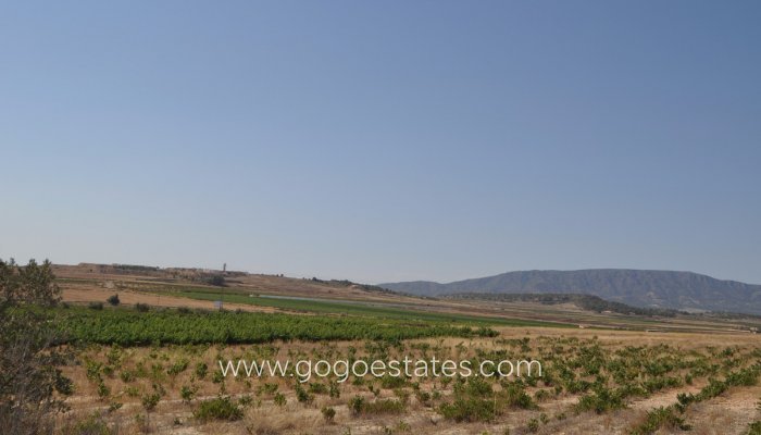 Resale - Plot - Land - Pinoso - Pinoso Centro