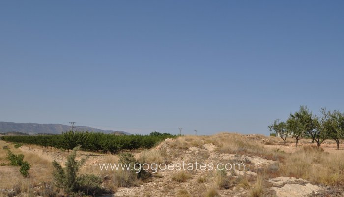 Resale - Plot - Land - Pinoso - Pinoso Centro