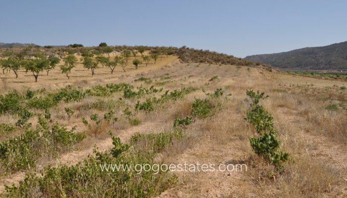 Resale - Plot - Land - Pinoso - Pinoso Centro