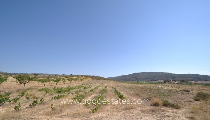 Resale - Plot - Land - Pinoso - Pinoso Centro