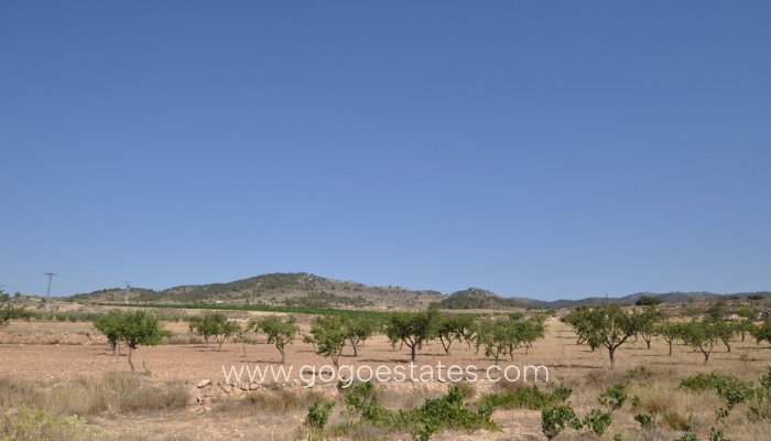 Resale - Plot - Land - Pinoso - Pinoso Centro