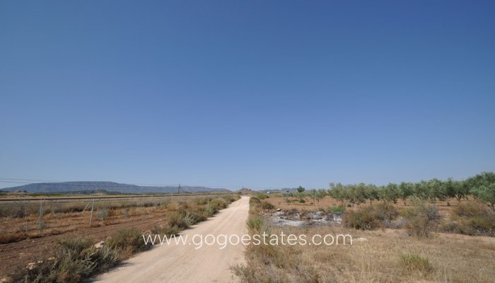 Te koop - Perceel - Land - Pinoso - Pinoso Centro