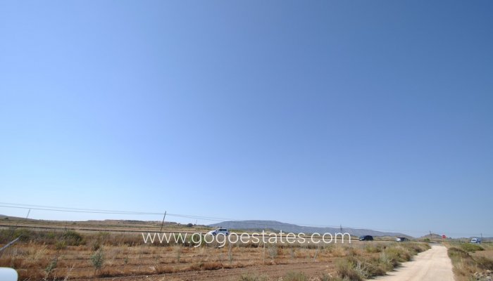 Te koop - Perceel - Land - Pinoso - Pinoso Centro