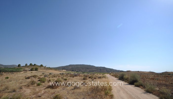 Te koop - Perceel - Land - Pinoso - Pinoso Centro