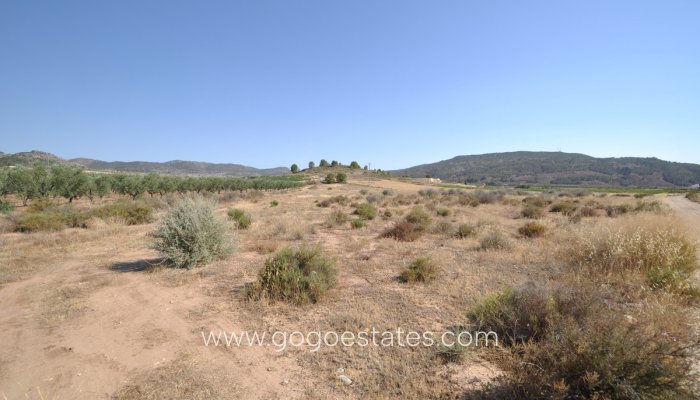 Te koop - Perceel - Land - Pinoso - Pinoso Centro