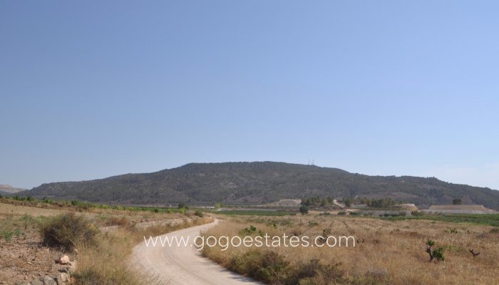 Te koop - Perceel - Land - Pinoso - Pinoso Centro