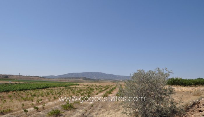 Te koop - Perceel - Land - Pinoso - Pinoso Centro