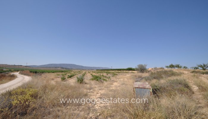 Te koop - Perceel - Land - Pinoso - Pinoso Centro