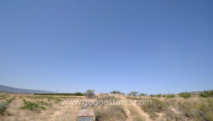 Te koop - Perceel - Land - Pinoso - Pinoso Centro