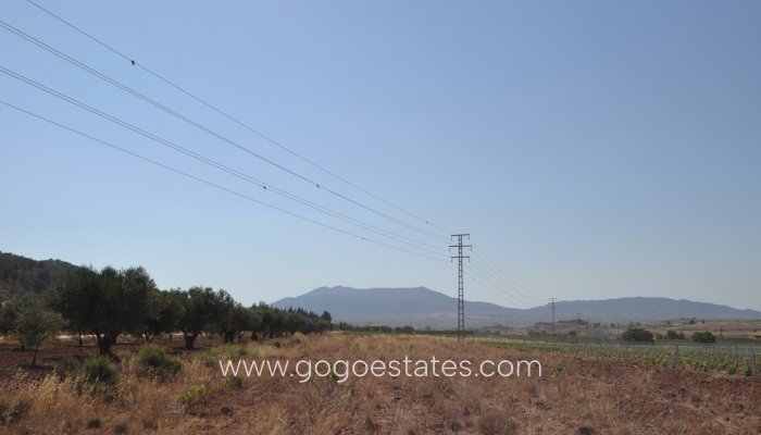 Revente - Terrain - Terrain - Pinoso - Pinoso Centro