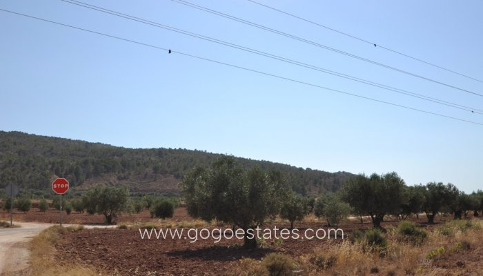 Revente - Terrain - Terrain - Pinoso - Pinoso Centro