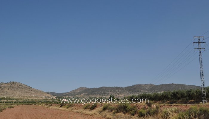 Revente - Terrain - Terrain - Pinoso - Pinoso Centro