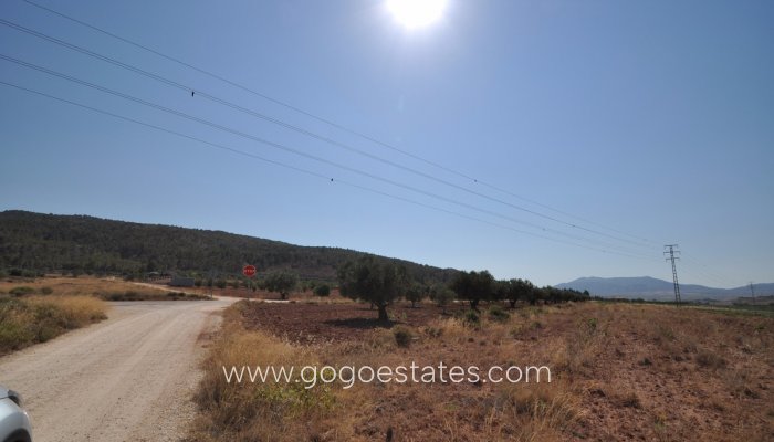 Revente - Terrain - Terrain - Pinoso - Pinoso Centro