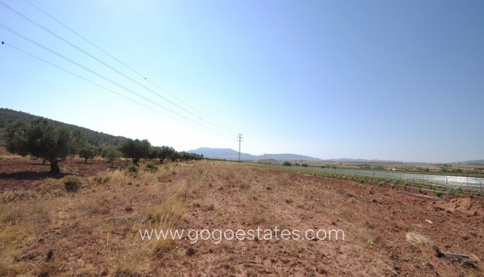 Revente - Terrain - Terrain - Pinoso - Pinoso Centro