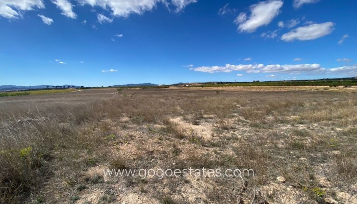 Te koop - Perceel - Land - Pinoso - Pinoso Centro