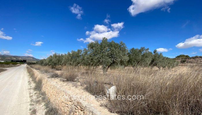Te koop - Perceel - Land - Pinoso - Pinoso Centro
