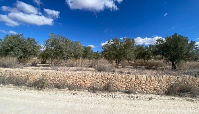 Te koop - Perceel - Land - Pinoso - Pinoso Centro