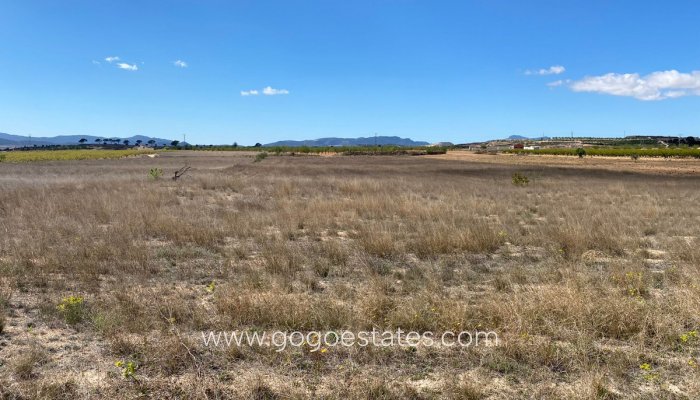 Te koop - Perceel - Land - Pinoso - Pinoso Centro