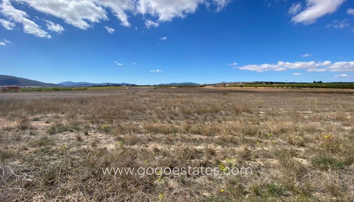 Te koop - Perceel - Land - Pinoso - Pinoso Centro