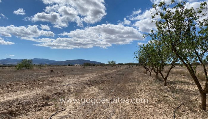 Te koop - Perceel - Land - Pinoso - Pinoso Centro