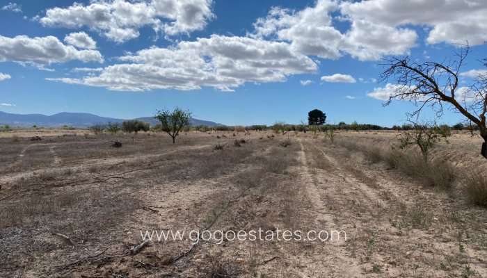 Te koop - Perceel - Land - Pinoso - Pinoso Centro