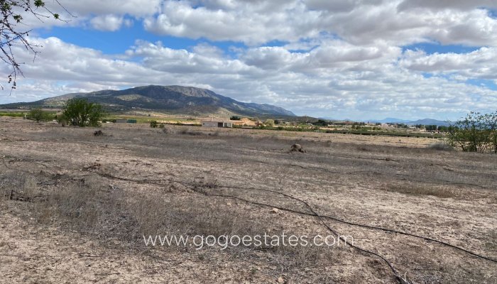 Te koop - Perceel - Land - Pinoso - Pinoso Centro