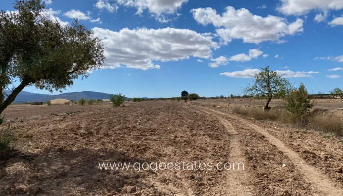 Te koop - Perceel - Land - Pinoso - Pinoso Centro