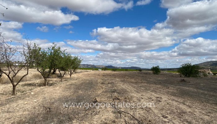 Te koop - Perceel - Land - Pinoso - Pinoso Centro