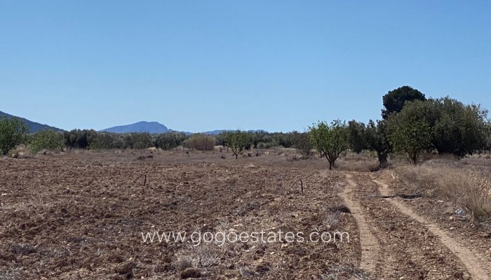 Te koop - Perceel - Land - Pinoso - Pinoso Centro