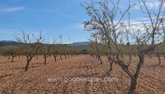 Te koop - Perceel - Land - Pinoso - Aspe