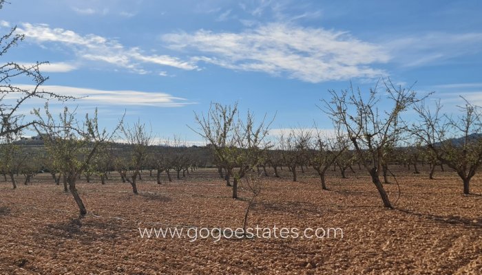 Te koop - Perceel - Land - Pinoso - Aspe