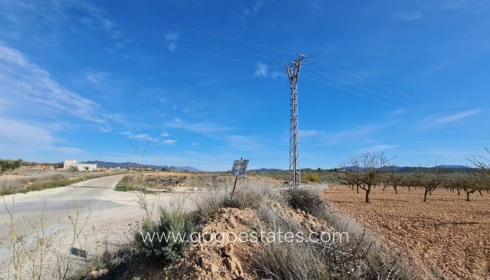 Te koop - Perceel - Land - Pinoso - Aspe