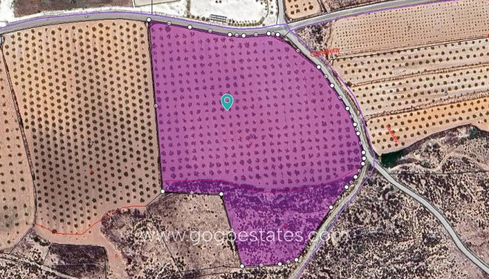 Te koop - Perceel - Land - Pinoso - Aspe