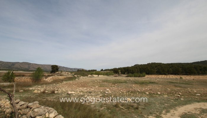 Te koop - Huis - Finca - Cortijo - Monóvar - Monòver - Monóvar - Monòver Centro