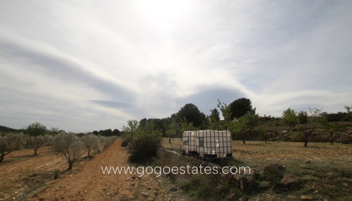 Te koop - Huis - Finca - Cortijo - Monóvar - Monòver - Monóvar - Monòver Centro