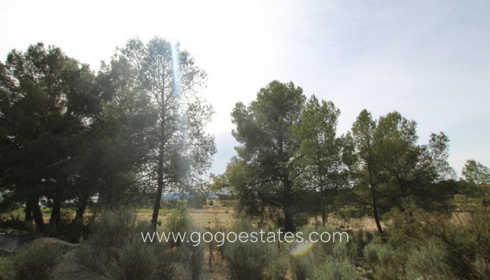 Te koop - Huis - Finca - Cortijo - Monóvar - Monòver - Monóvar - Monòver Centro