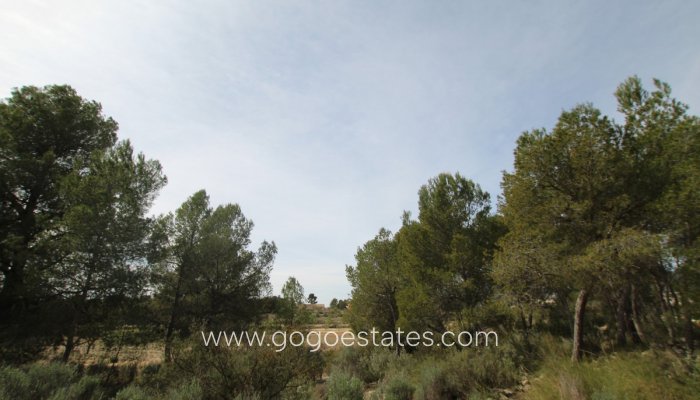 Te koop - Huis - Finca - Cortijo - Monóvar - Monòver - Monóvar - Monòver Centro