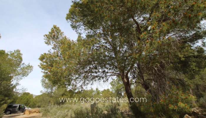 Te koop - Huis - Finca - Cortijo - Monóvar - Monòver - Monóvar - Monòver Centro