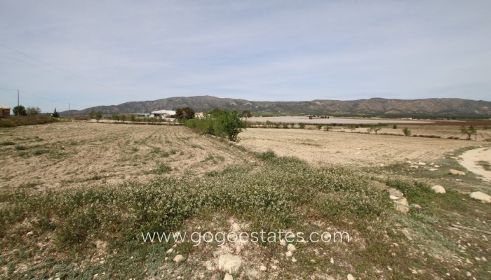 Te koop - Huis - Finca - Cortijo - Monóvar - Monòver - Monóvar - Monòver Centro