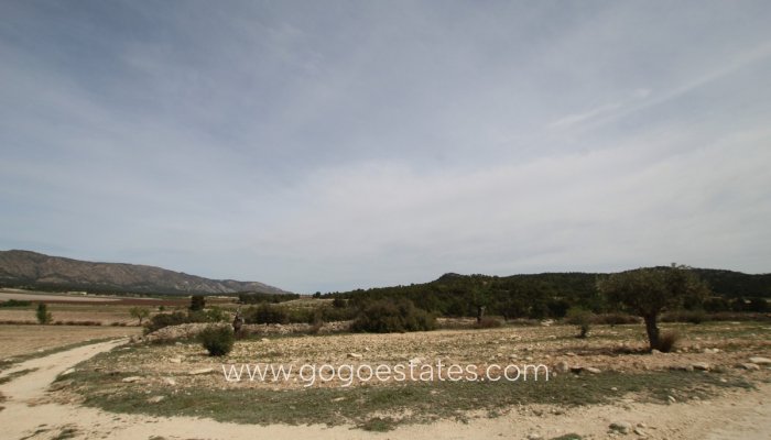 Te koop - Huis - Finca - Cortijo - Monóvar - Monòver - Monóvar - Monòver Centro