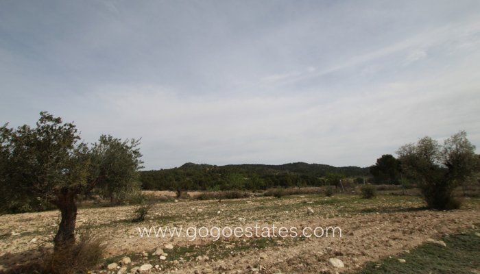 Te koop - Huis - Finca - Cortijo - Monóvar - Monòver - Monóvar - Monòver Centro