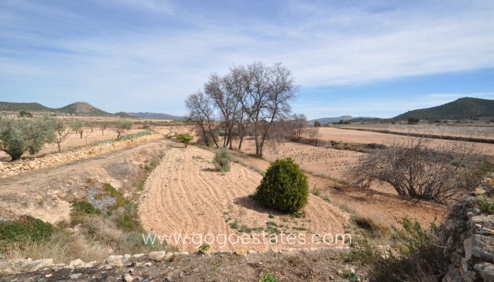 Te koop - Huis - Finca - Cortijo - Monóvar - Monòver - Monóvar - Monòver Centro