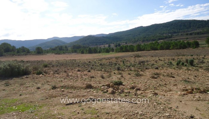 Te koop - Perceel - Land - Monóvar - Monòver - Monóvar - Monòver Centro