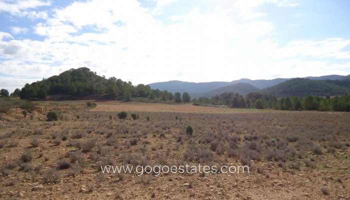 Te koop - Perceel - Land - Monóvar - Monòver - Monóvar - Monòver Centro