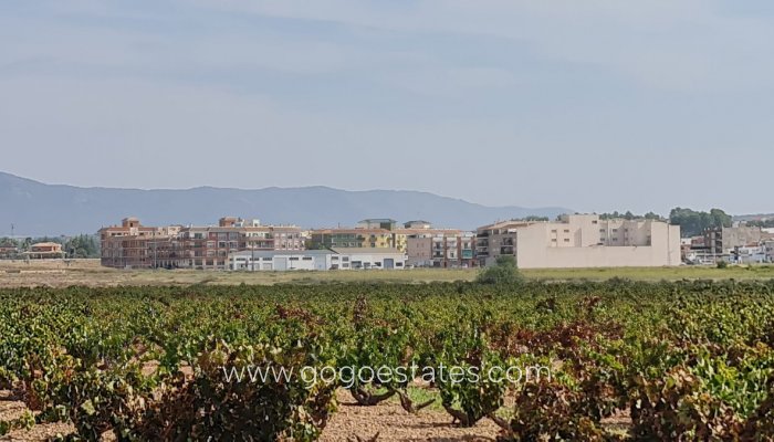 Revente - Terrain - Terrain - Pinoso - Pinoso Centro